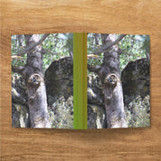 c3c64815-9095-49fb-b0af-2ff5969e9c17