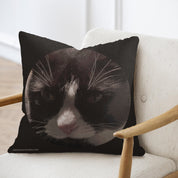 c44599b8-c7ad-4a13-a4d0-bbef531a747e