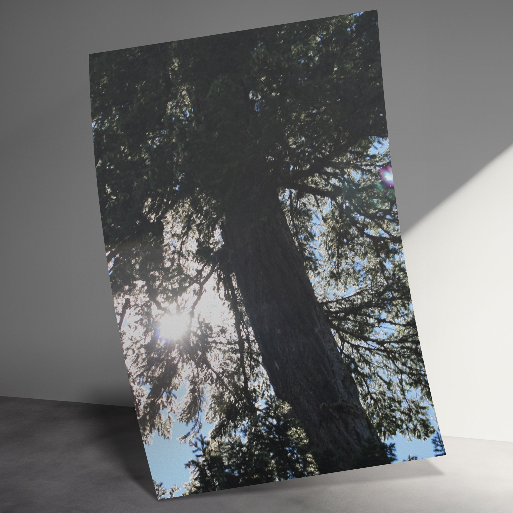 c4d631bc-2354-477c-a83b-f3785722ce29