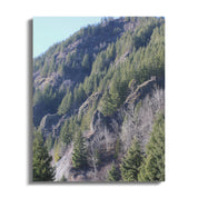 c50a2fc9-75c9-45da-8c74-d310a81c8f68