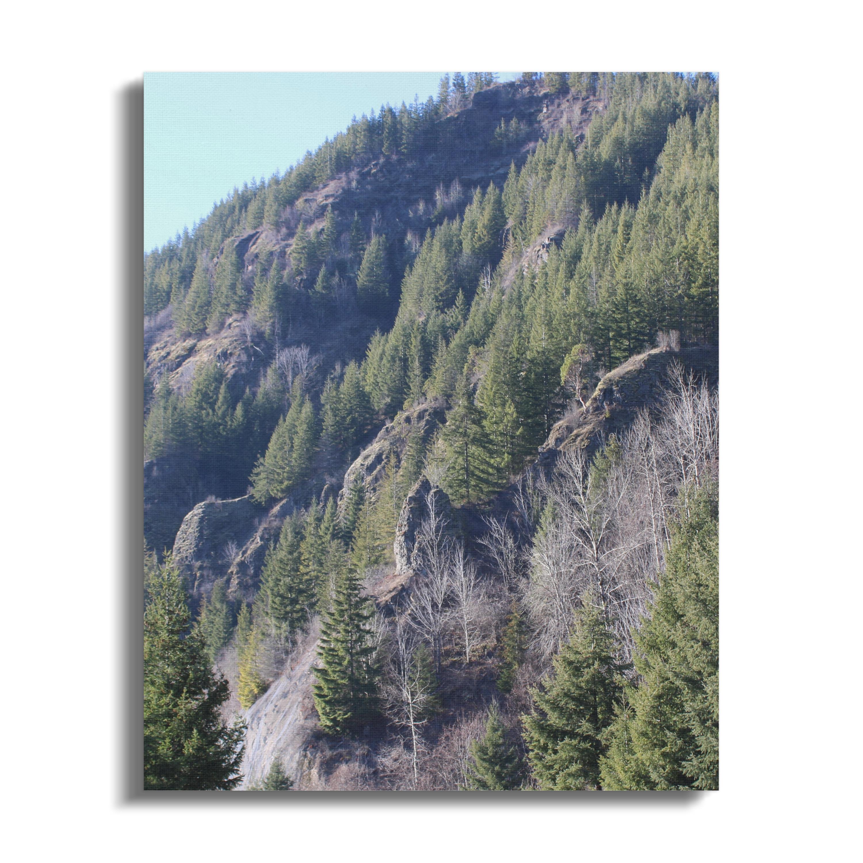 c50a2fc9-75c9-45da-8c74-d310a81c8f68