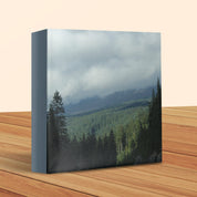 c7817fef-7ff0-4018-8268-1c38d6e56d82