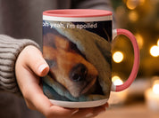 c7955090-8c2a-4747-ba84-e3a3a2f418bd