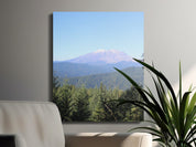 c802708d-4c99-4b7a-8920-ddf6fbed270b