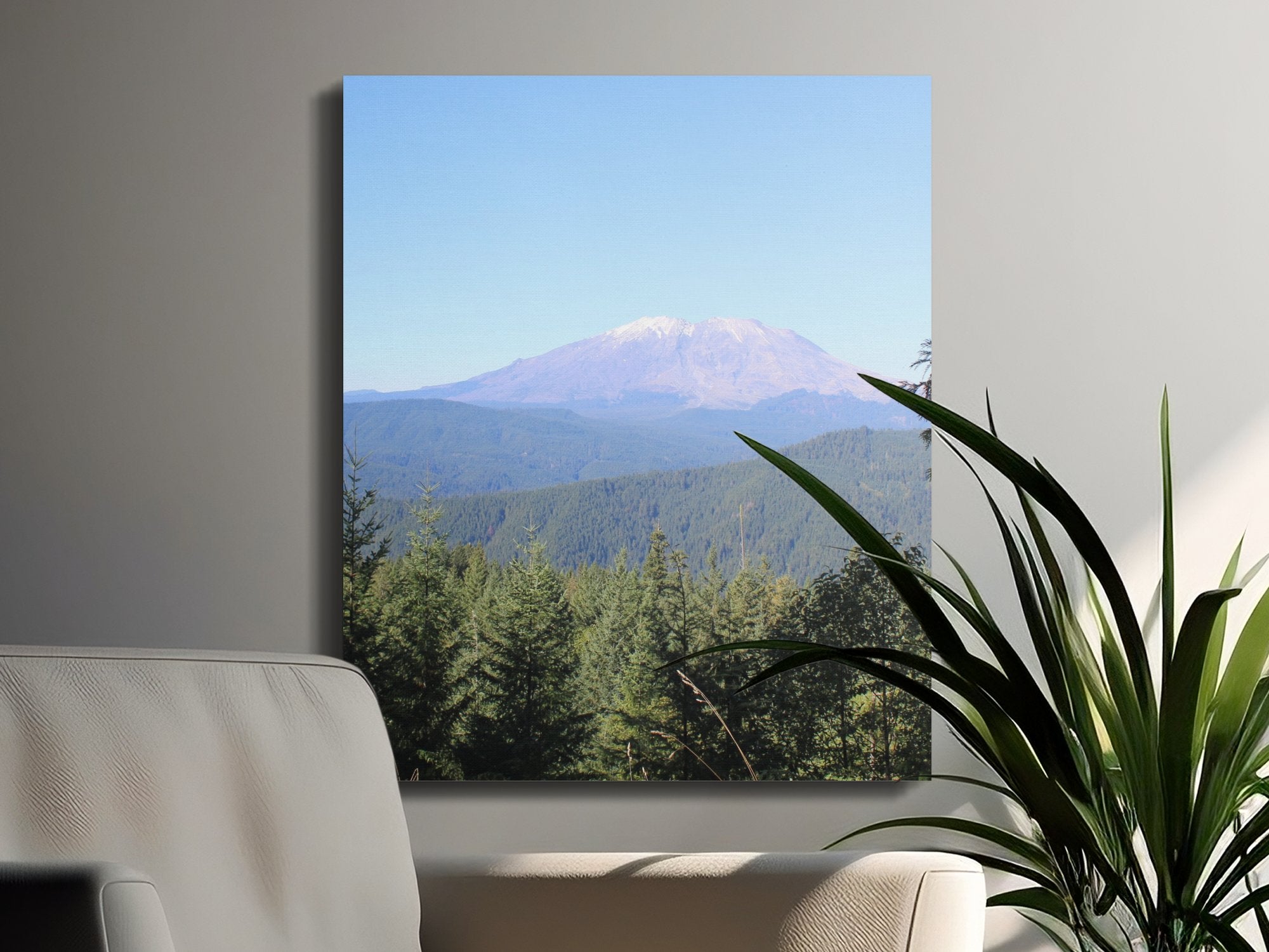 c802708d-4c99-4b7a-8920-ddf6fbed270b