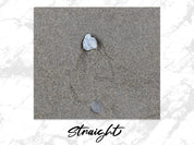 c813c91c-5af8-45d9-98c7-8befa9cc69b1