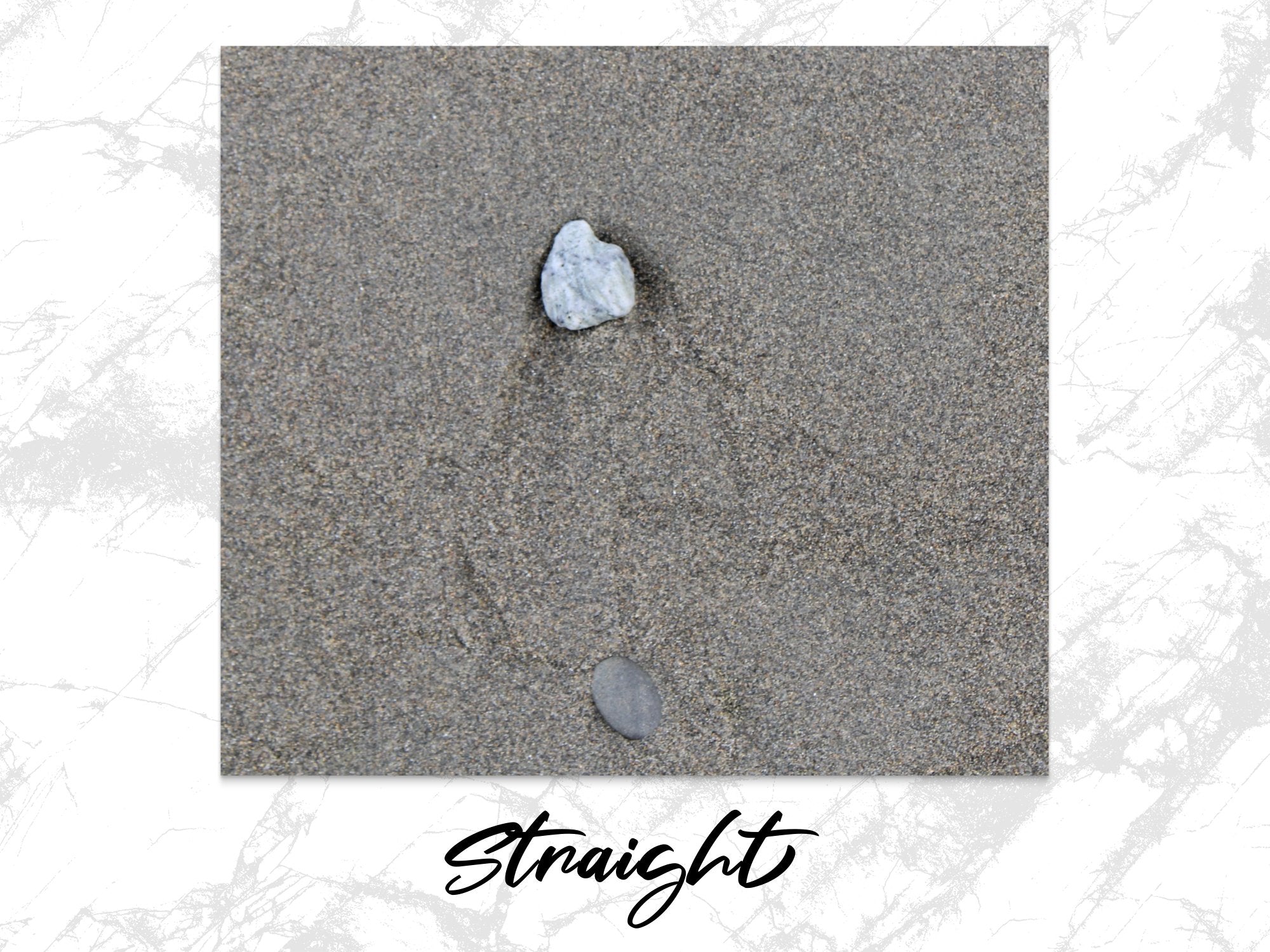 c813c91c-5af8-45d9-98c7-8befa9cc69b1