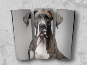 c8af9987-25fa-4a21-a8a0-be96abd7a430