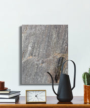 c8e79104-0265-4285-b077-d43154ae4068