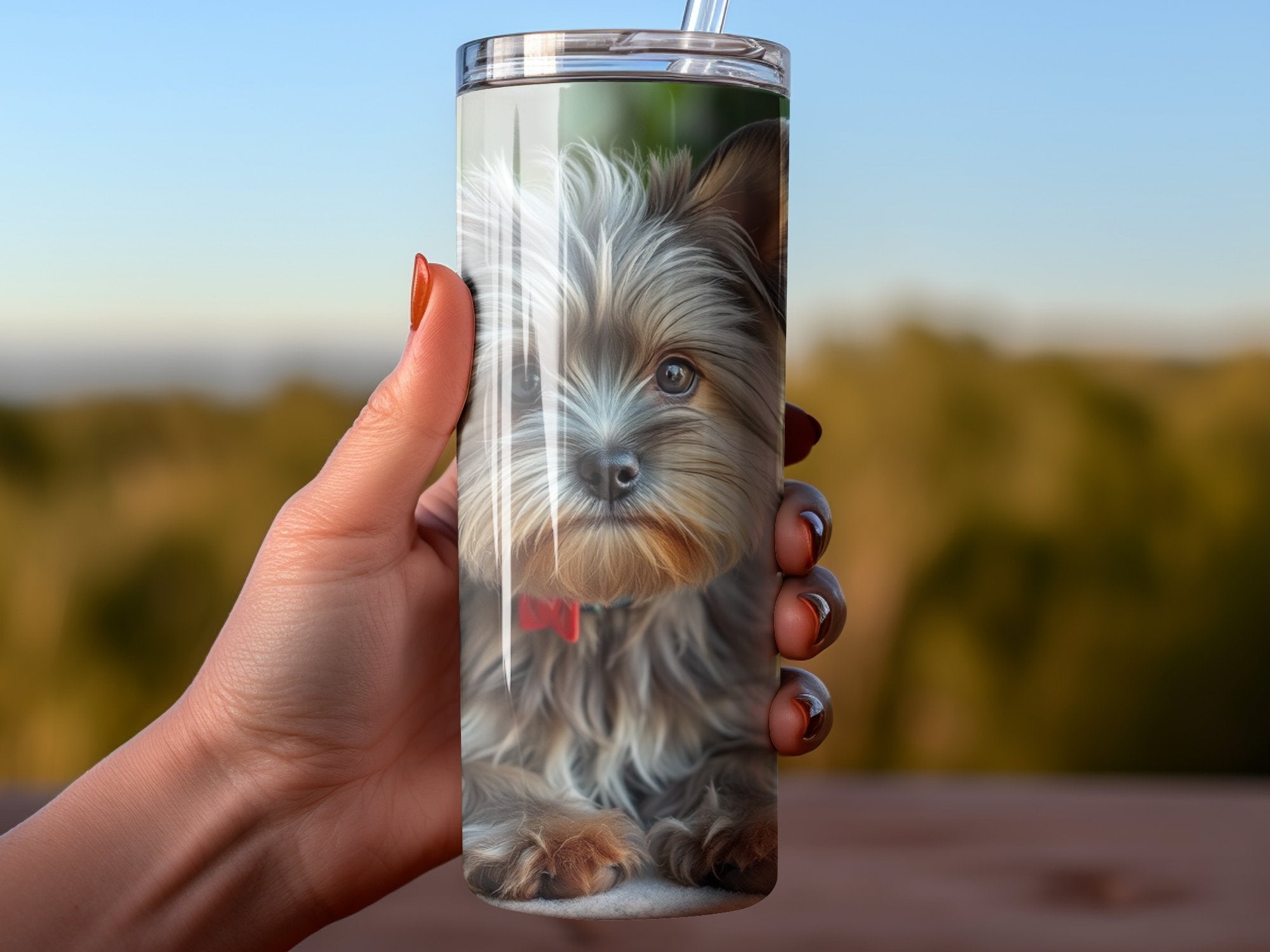 c9322d11-71a7-4d31-9a4f-6a5b0f90f414