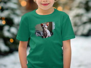 c97f5ad2-70de-4799-9778-61ac22694572