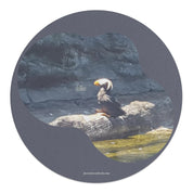 c9c58f90-1f6c-4c67-a163-a168de1ece2f