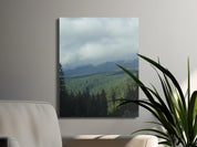 c9d63937-8435-4305-a91c-82c330494dba