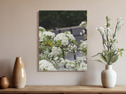Beautiful Blossom-Filled Backyard Art Canvas product type