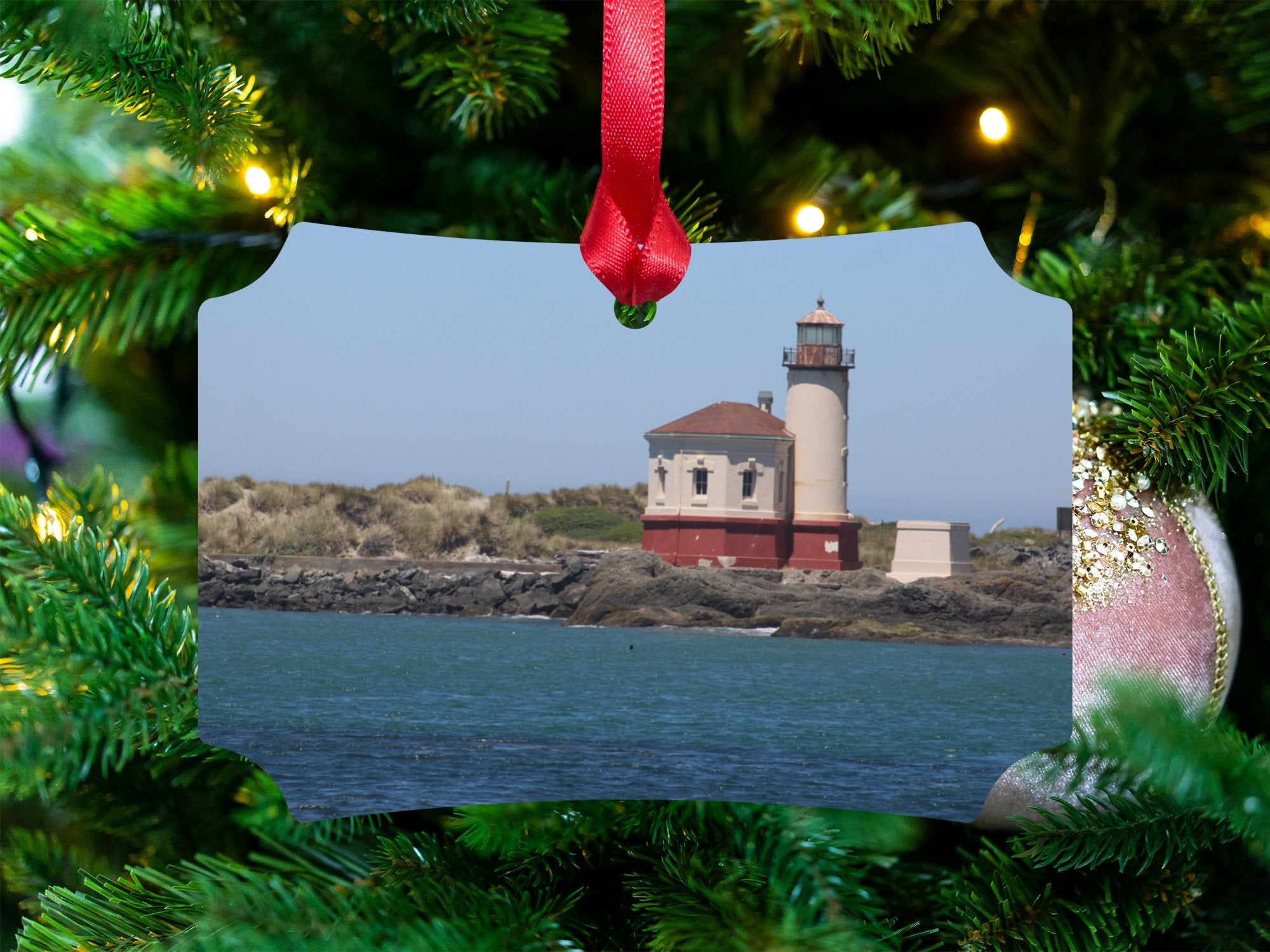 ca6a5550-3f6a-4477-8a47-5440a29badfa