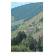 cba1b393-8f01-4958-babe-b426121d3235