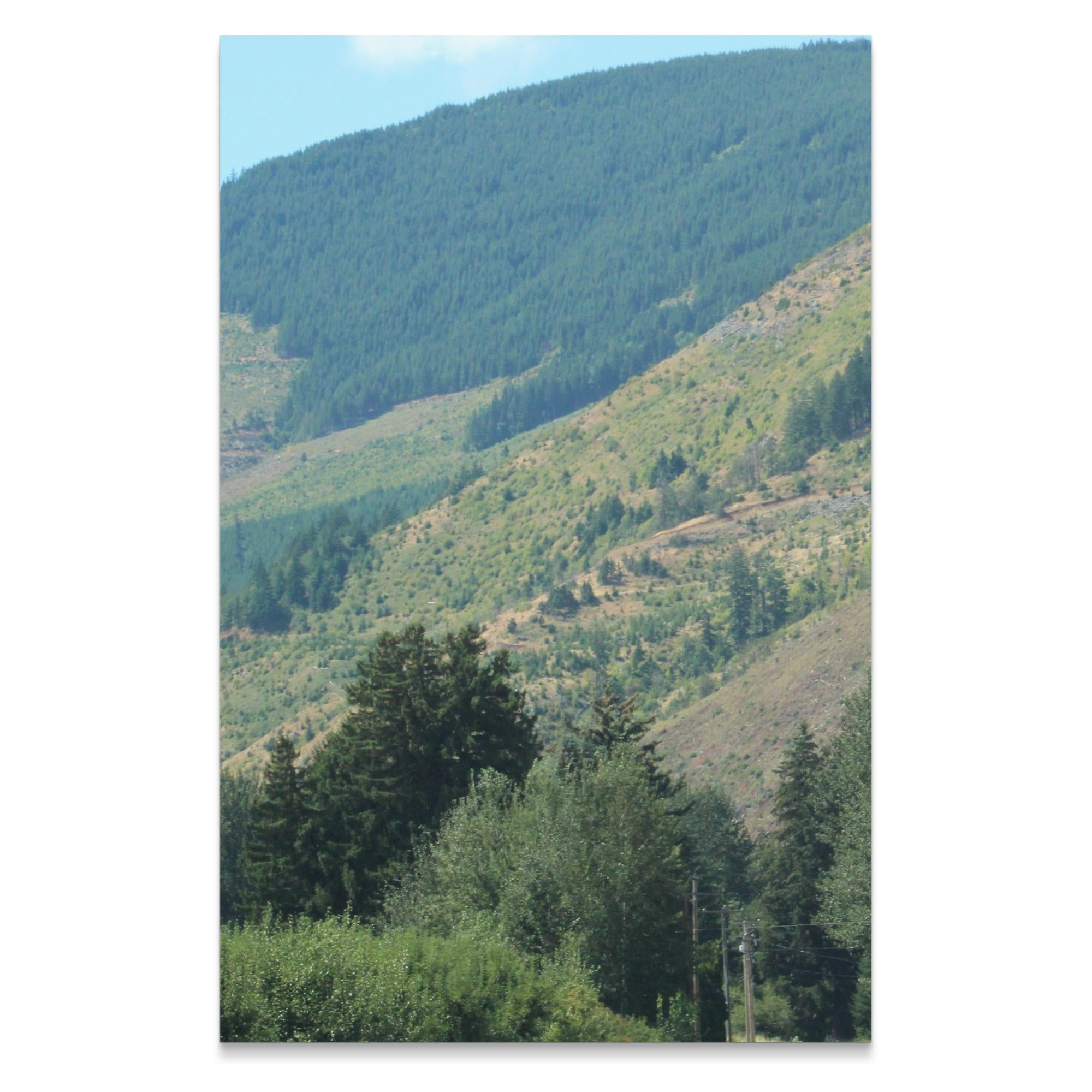 cba1b393-8f01-4958-babe-b426121d3235