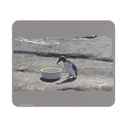 cbb37d6a-162f-4437-b043-e9900fedc538