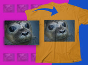 cc08c474-141c-418d-a465-50e269c0f54a