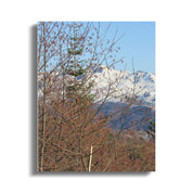 cc436389-c4a0-4959-a4a0-8d016887c05b