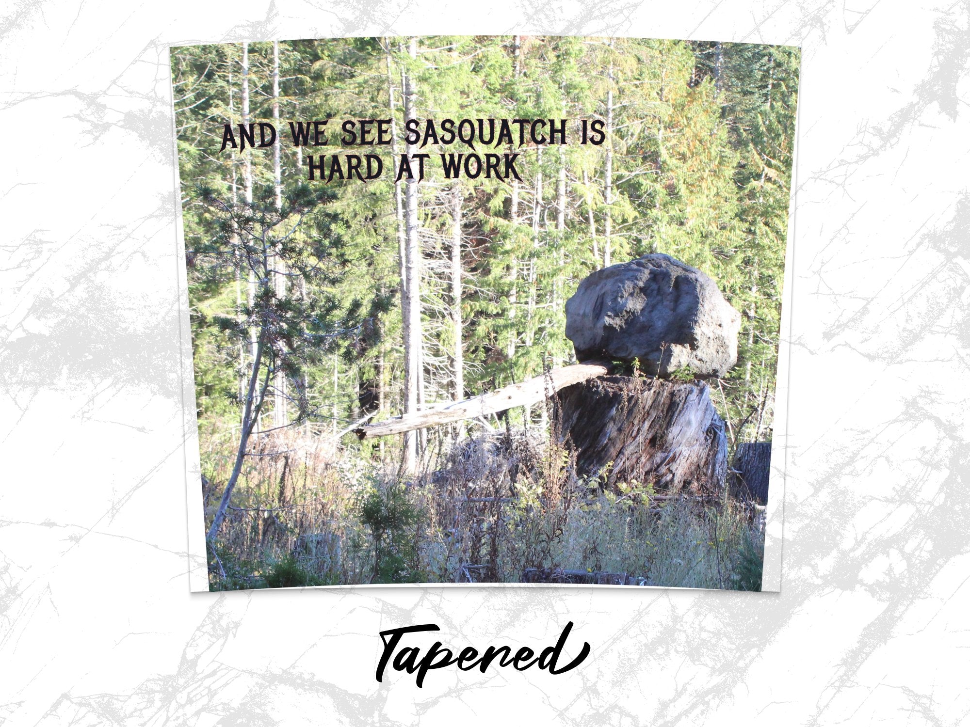 cc48ed30-330c-4dfe-ad70-05098dd56152