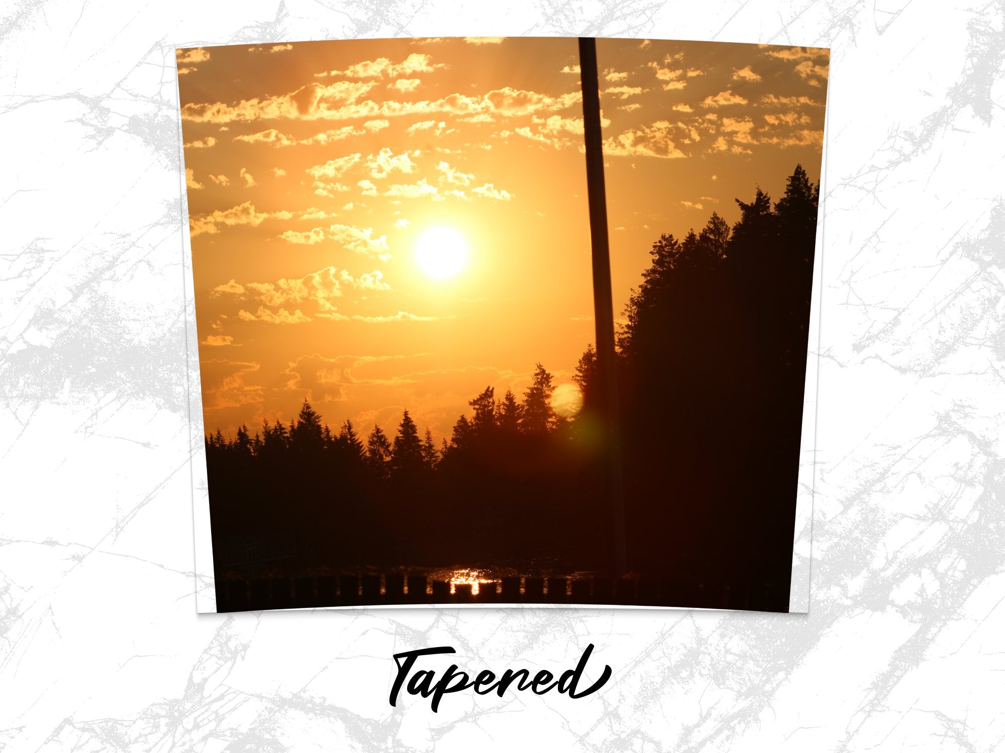 cd000ef5-9bd3-4693-924b-c88c235e43d8