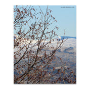 cd001de3-d2a8-43eb-a744-63bdc826056e