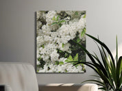 White Blossoming Flowers With Green Foliage decor product