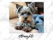 ce863fc5-24dd-4816-9a0e-dbd700914df9