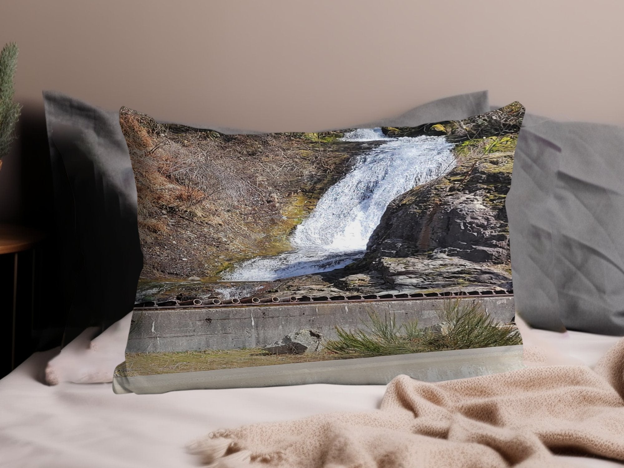 ced44604-628d-4d5b-9343-c275519d3426