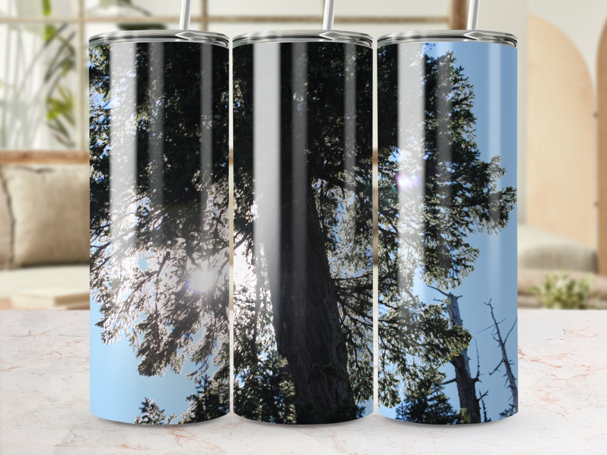 cfc76d01-5185-49f2-a3c0-db64a42dd699