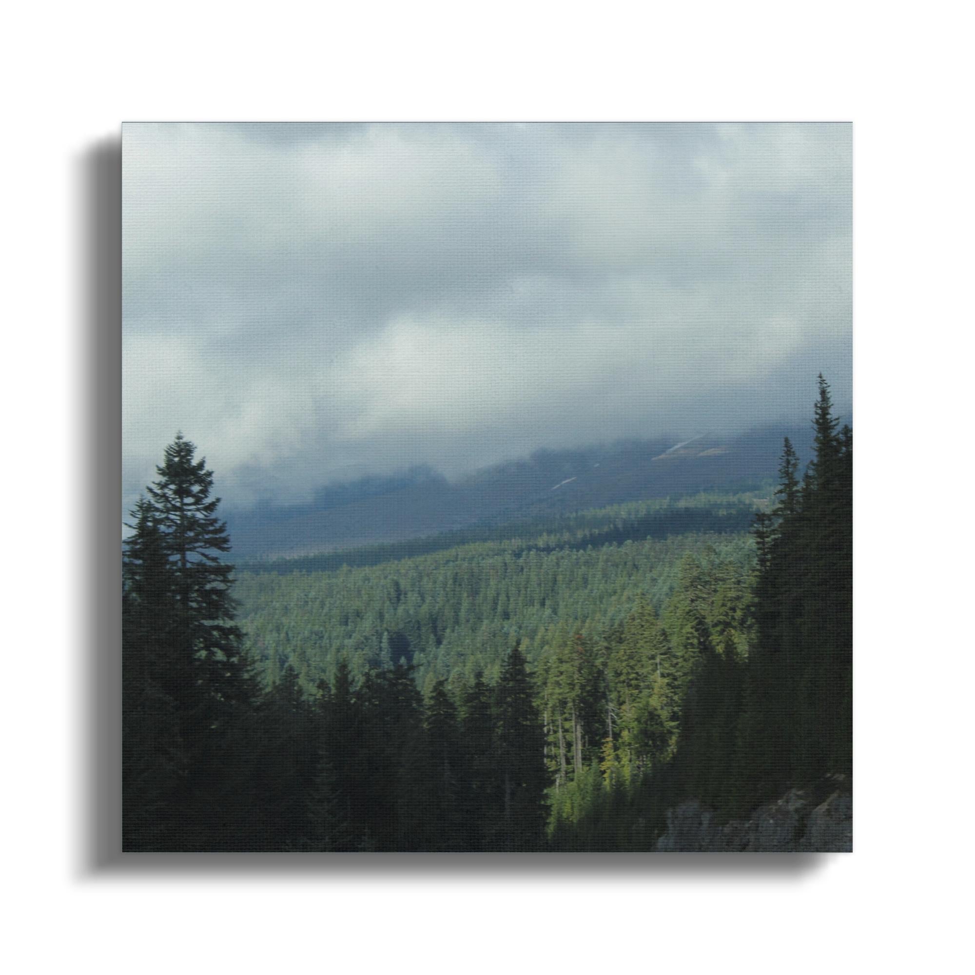 d0299666-edeb-4f77-9e1b-f2f1b1cf0c5e