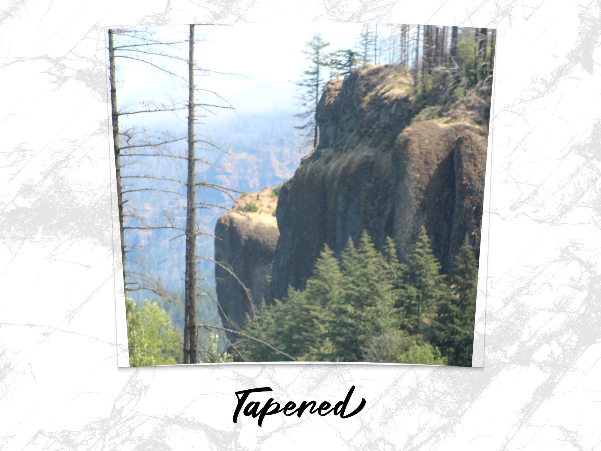 d0536371-980e-4474-b2d6-a39624b849c3