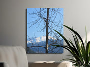 d139f233-0290-4304-bbc4-ae98fdd05a0e