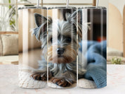 d194412f-e4b4-4010-adea-67de1b5e697c