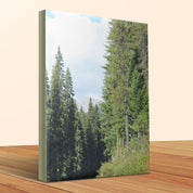 d19a416f-9101-44b5-b7a1-aa2193d5b72e