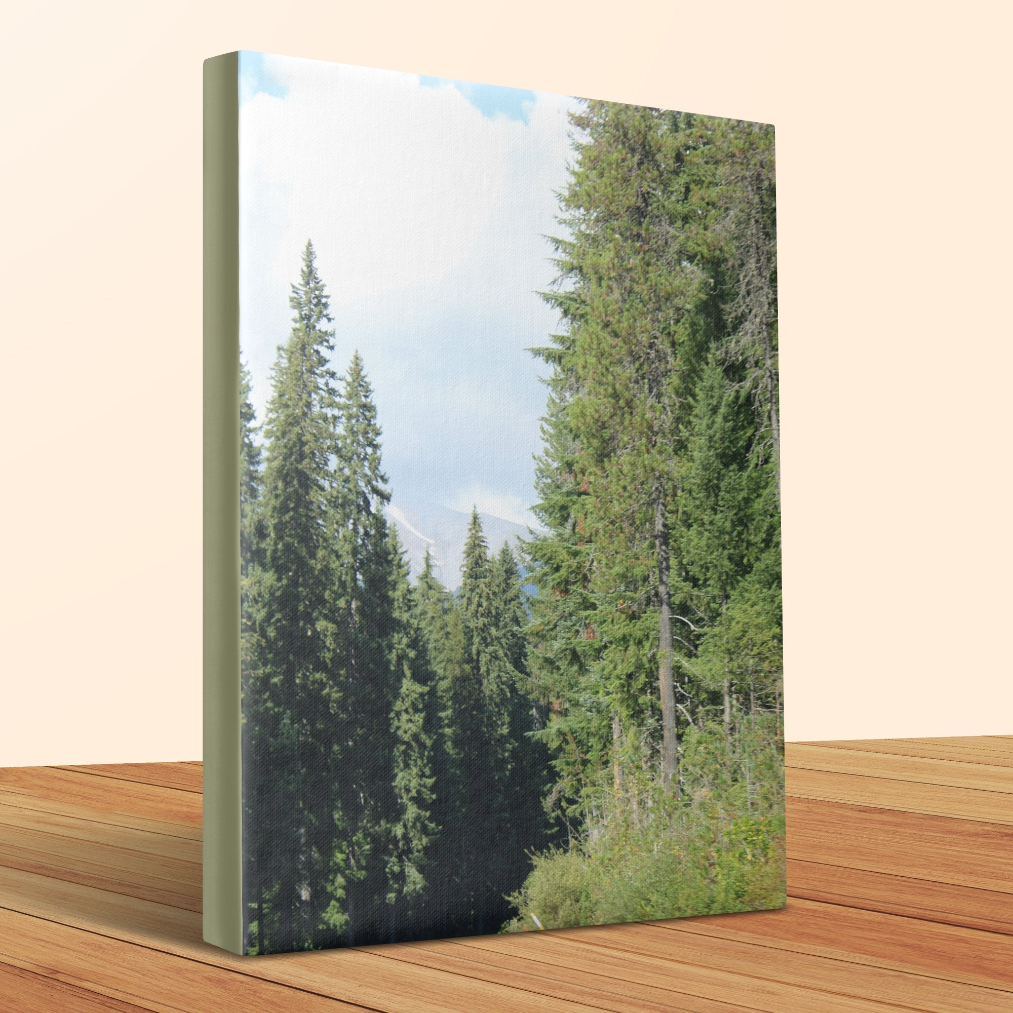 d19a416f-9101-44b5-b7a1-aa2193d5b72e