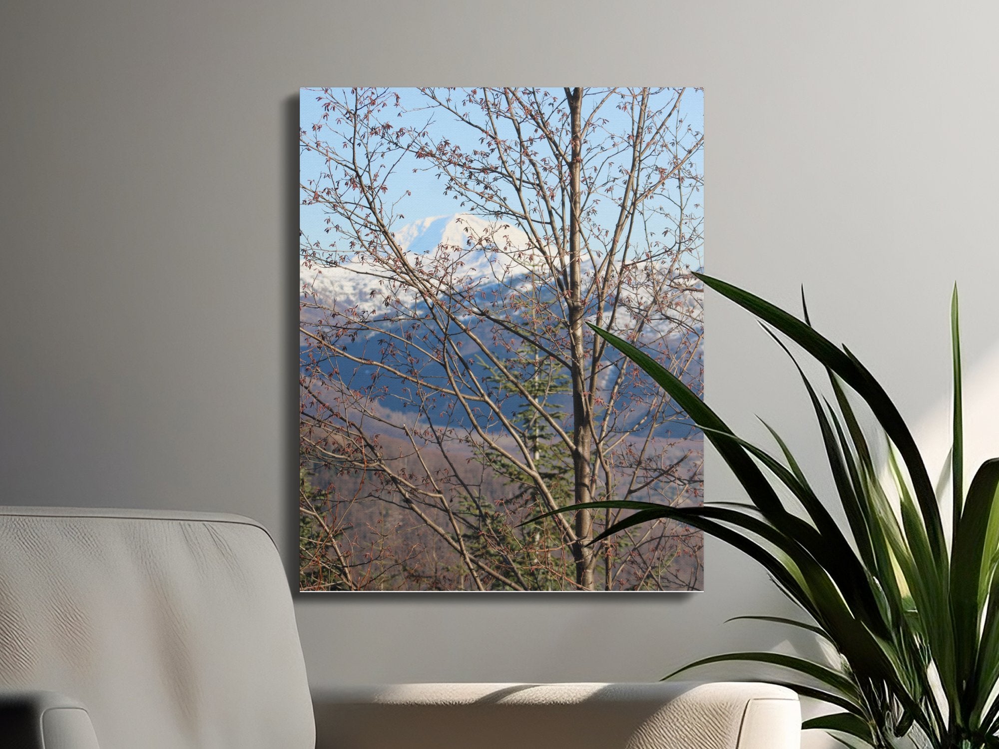 d1a4cef6-fb8e-42c8-8943-1f481310f899