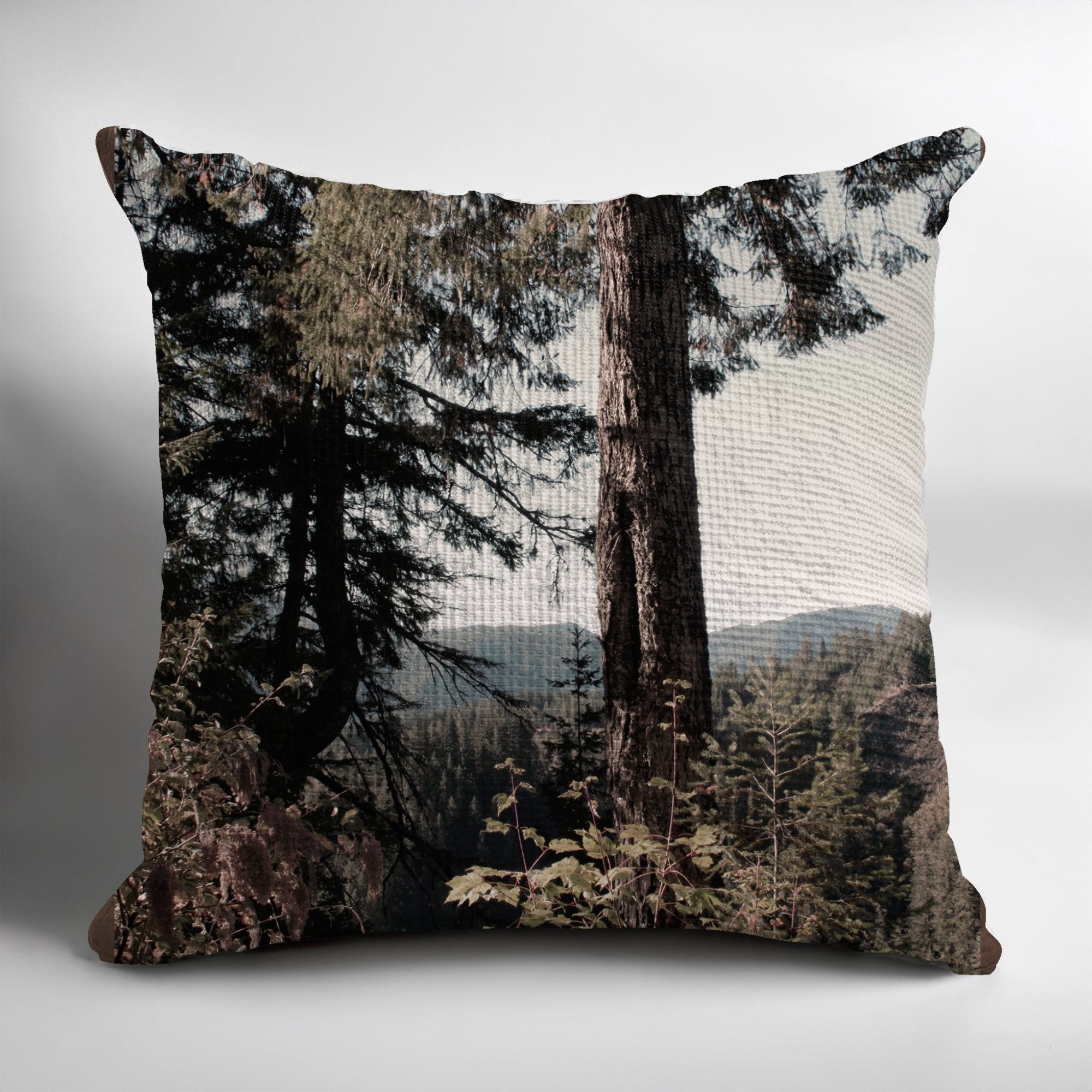 d1ebd3e0-e00d-477e-8553-a3ab3417fd69