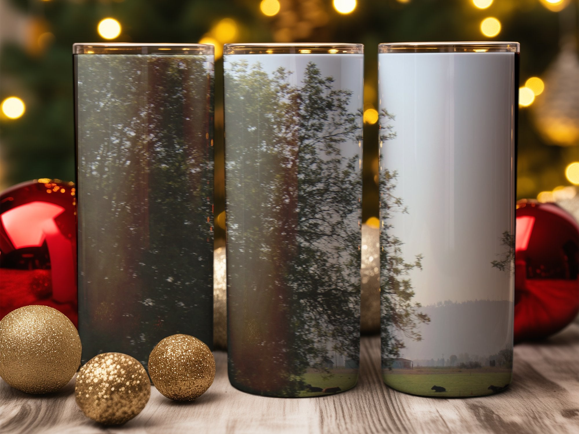 d21adfaf-2d79-4595-aa22-495dfc9f58ad