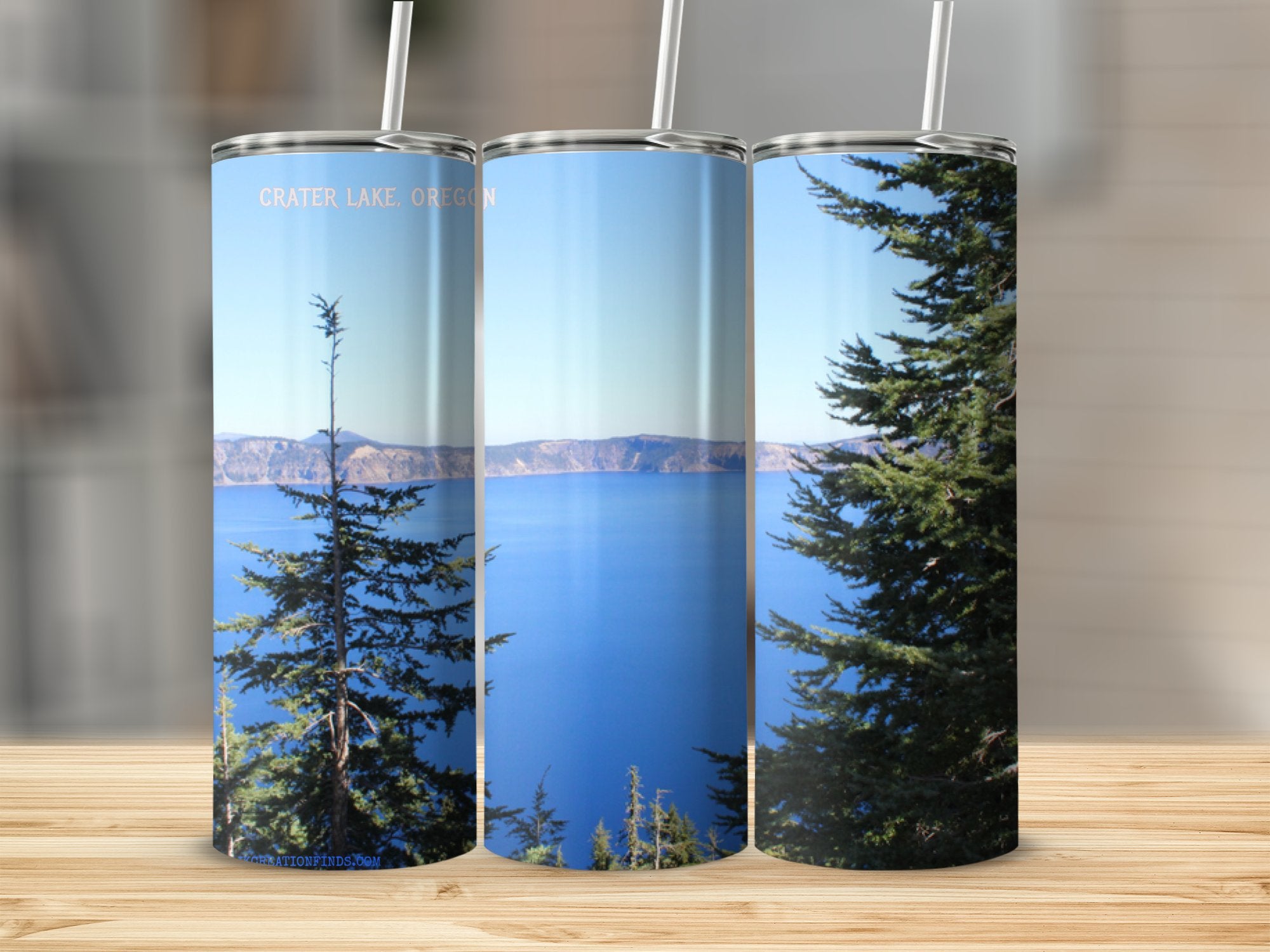 d306a8c1-40e1-46ca-a72d-4a079f0e33de