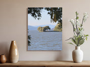 d35d1dd0-70a8-43f5-b5db-21e74b19cb91