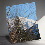 d4af461e-c538-46b9-a8b7-54b29143446d