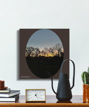 d55b91e8-d3f3-4f87-a898-37fcd5186f7e