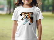 d59be6f8-18e7-42fb-b9f3-08358c049044