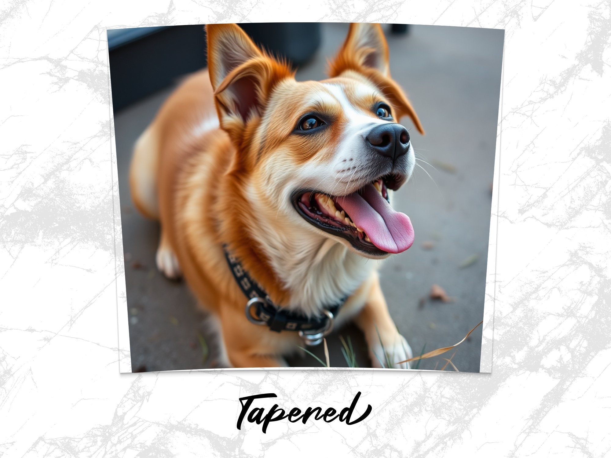 d65b5022-5828-4025-8a21-9e59504c1626