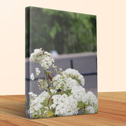 White Blossoms on Green Background Canvas product