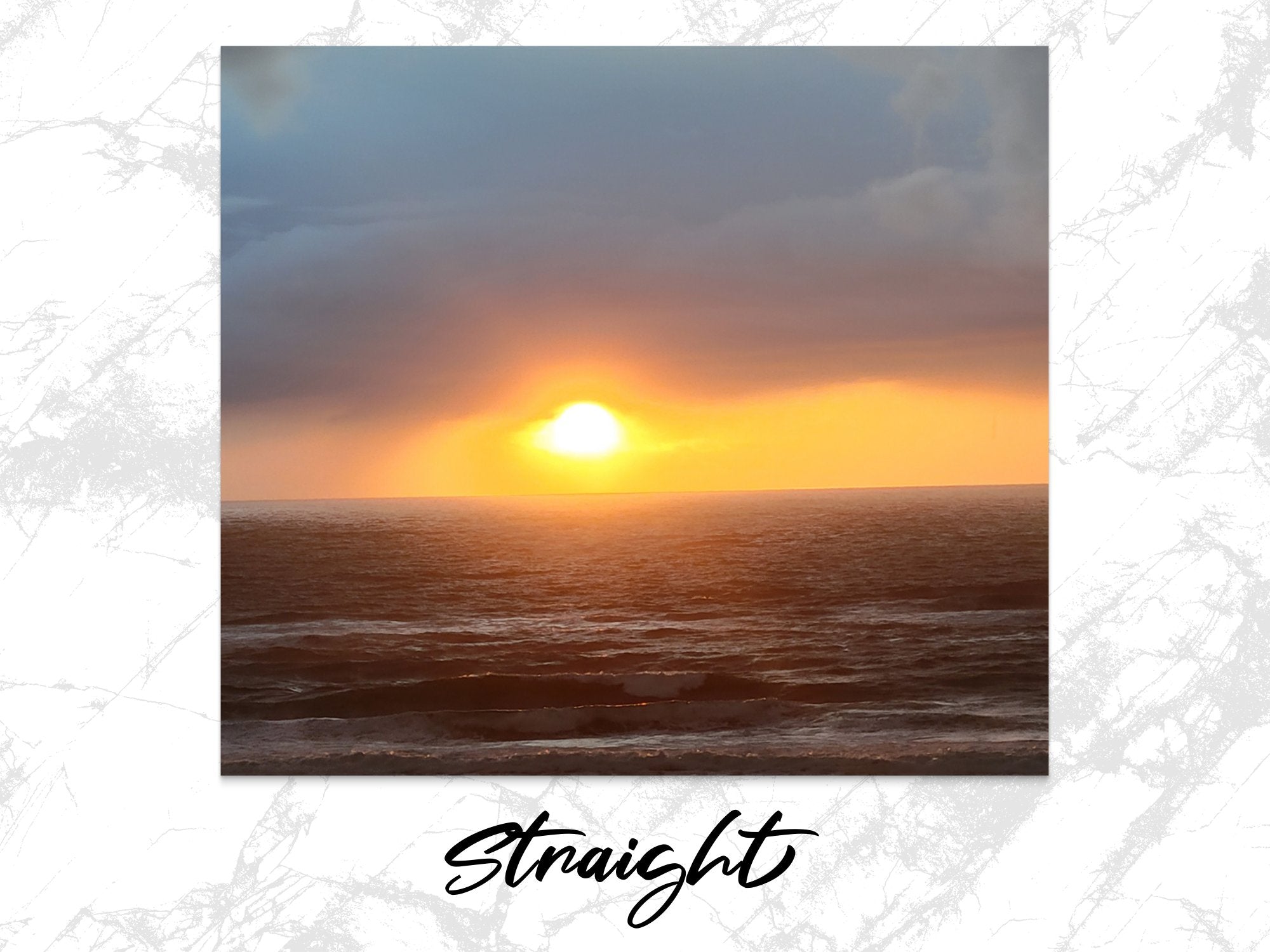 d86a9a7e-fdaf-4532-9f65-5478c71271ef