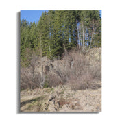 d88e93d0-43d3-45dd-babc-20623f3a1d65