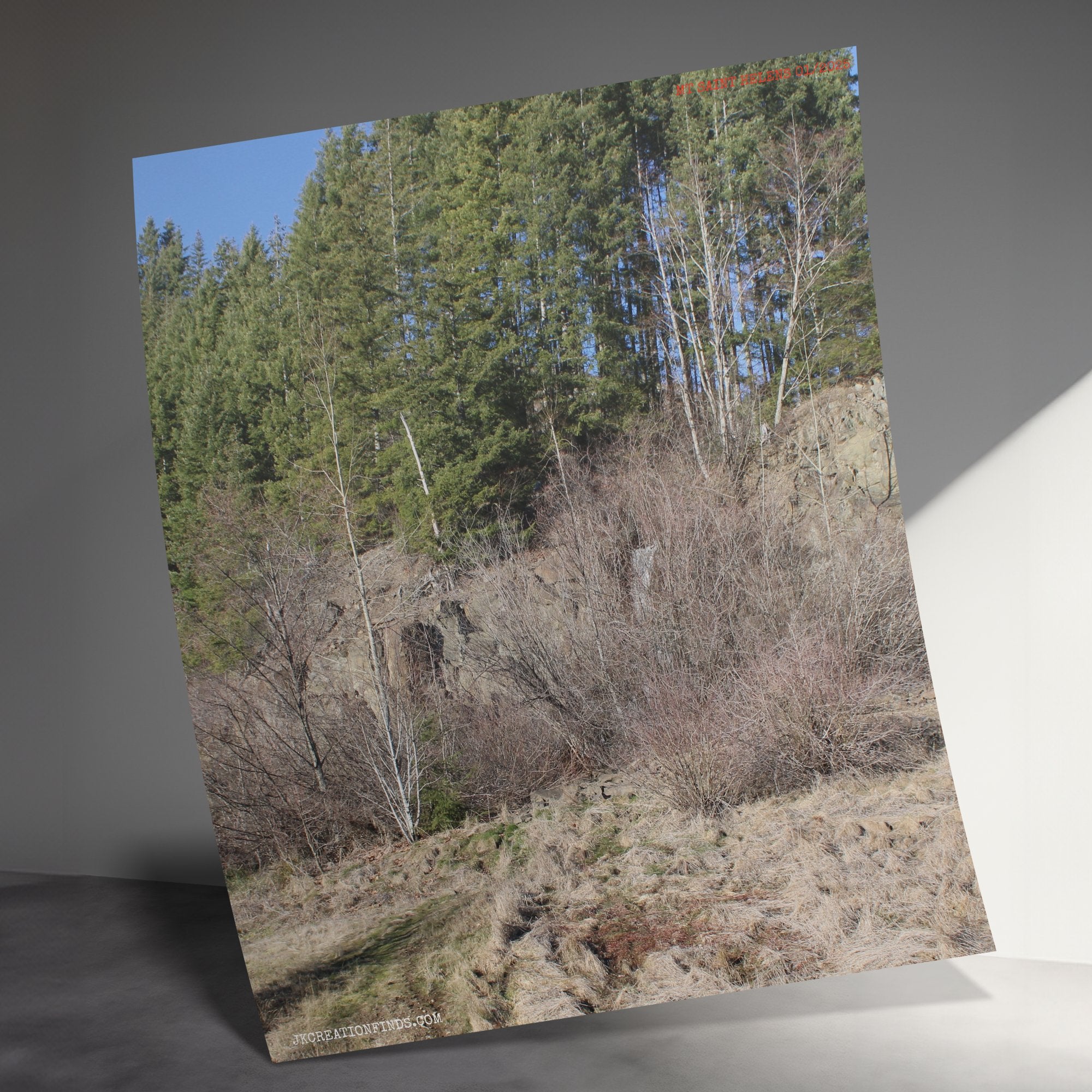 d8cf7acb-0ceb-42fb-b358-ccaa623d2bb9